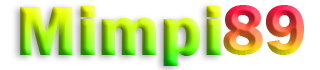 MIMPI89